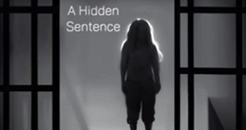Hidden Sentence 246