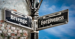 Forgive 2 246