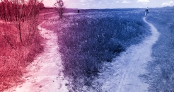 Divergence 246
