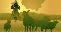 Sheep 3 246