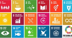 SDGs 246