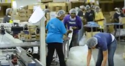 A second chance company