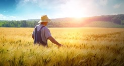 Stewardship as surrender 