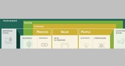 The Flourishing Business Canvas