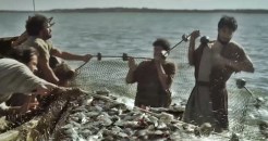 It's not your job to feed the 5000. You only need to provide the loaves and fish