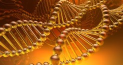 Two structures of God’s redemptive mission