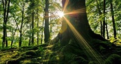 A community powered by its own renewable energy 