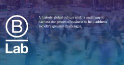 Rethinking the idea of a company