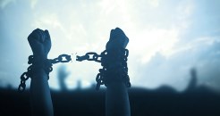 Modern slavery due diligence technology 